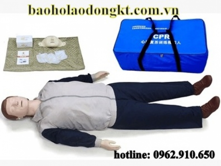 Mô hình hô hấp toàn thân cơ KT520